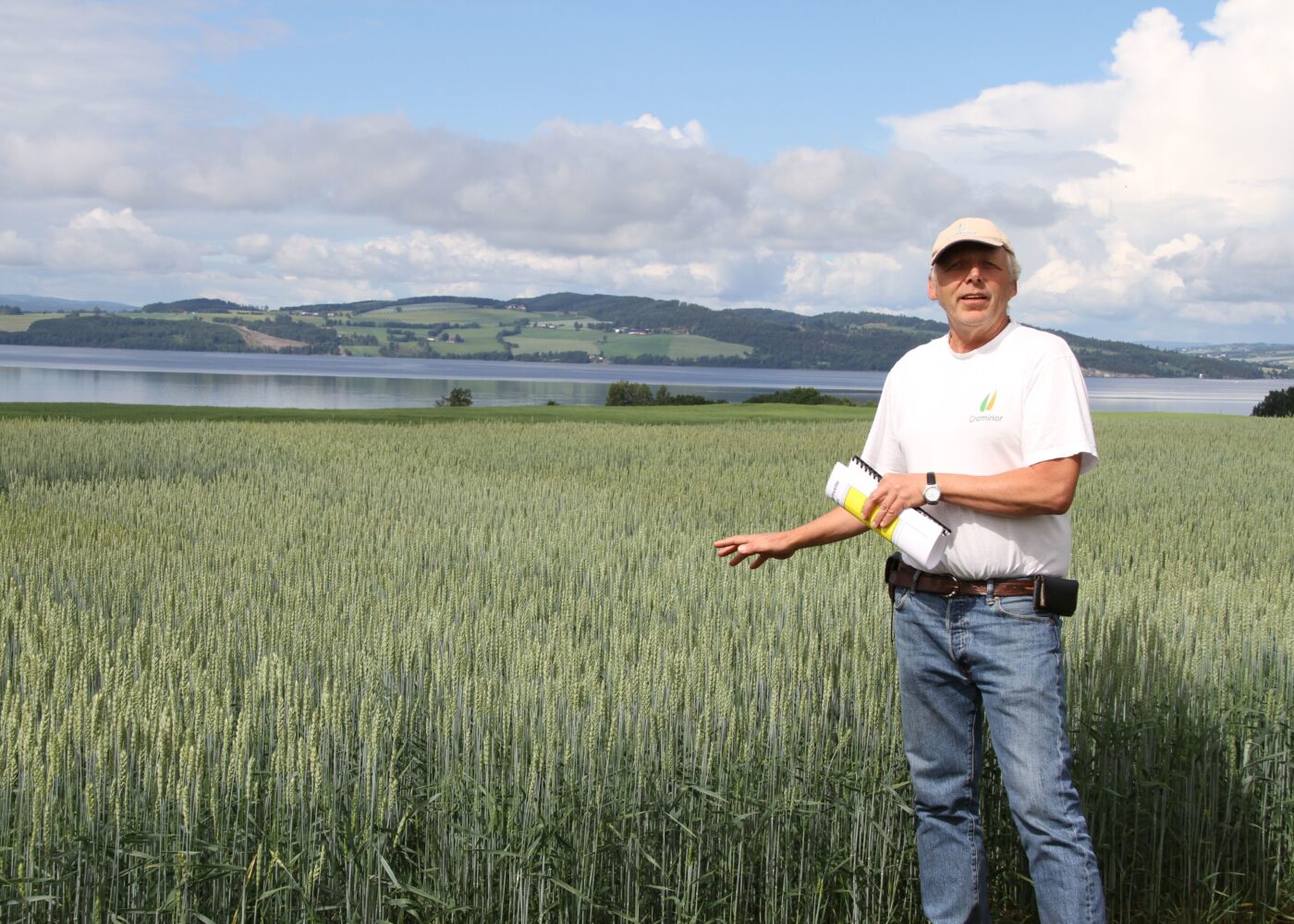 Godt brød med moderne hvetesorter