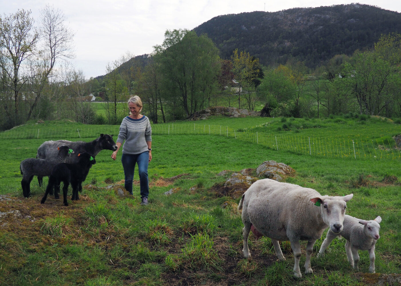 Øko 2020 - møteplass for økologisk produksjon