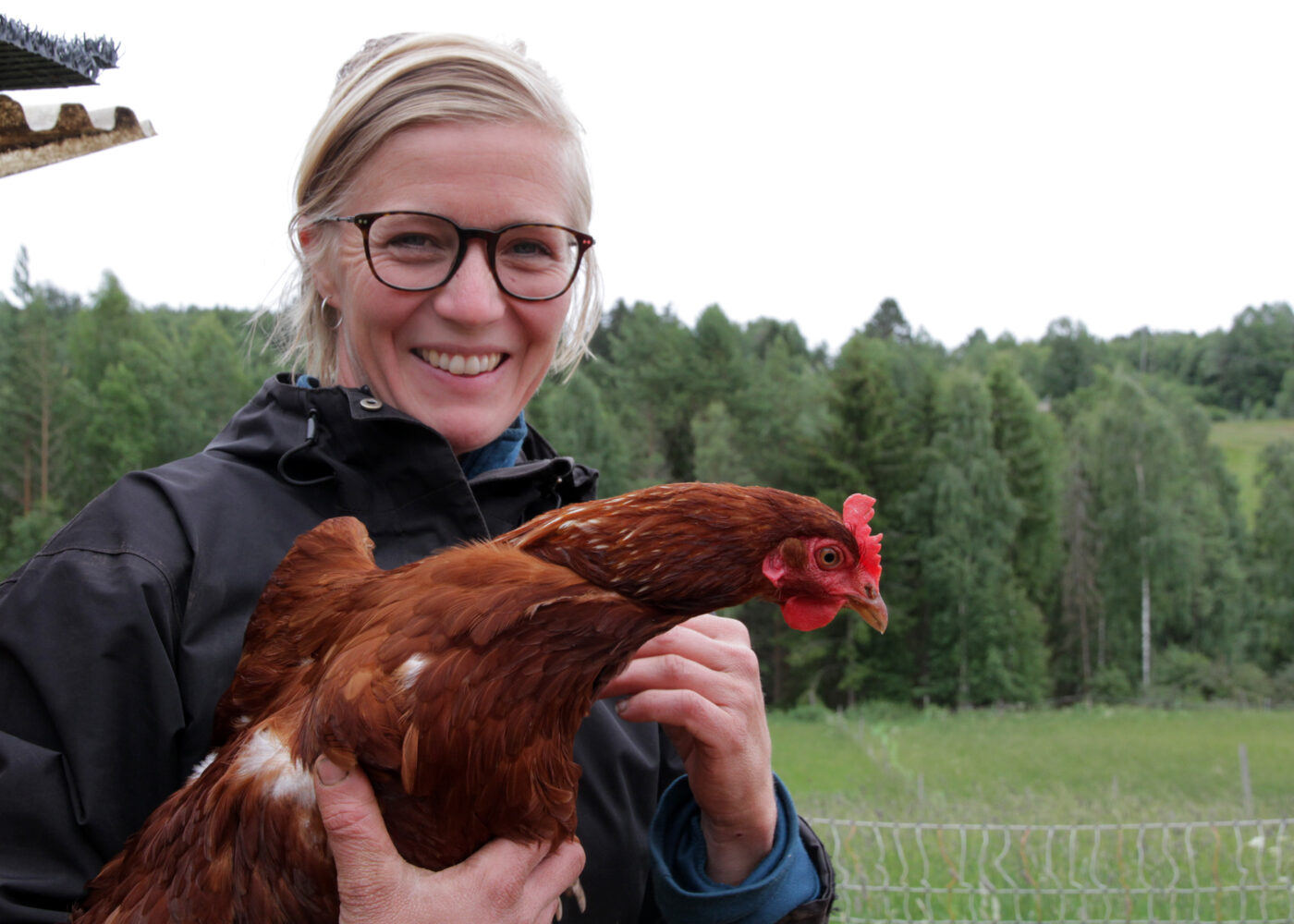 REKO-ring for økologiske grønnsaker