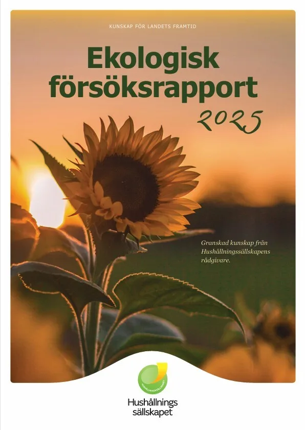 Klikke på bildet for å lese rapporten.