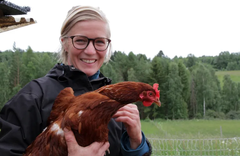 REKO-ring for økologiske grønnsaker