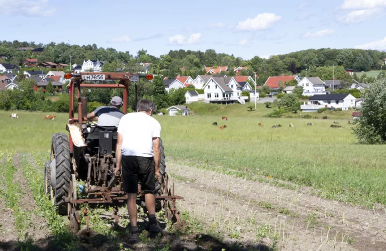 Bynært andelslandbruk i Sandefjord