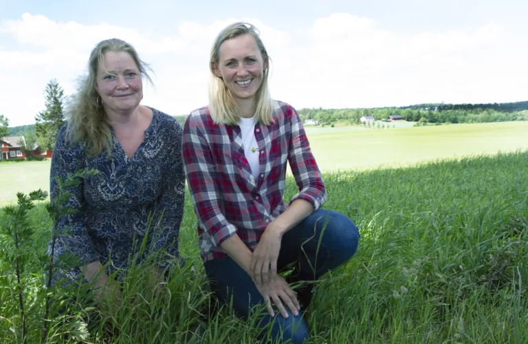 Tar det økologiske landbruket på pulsen