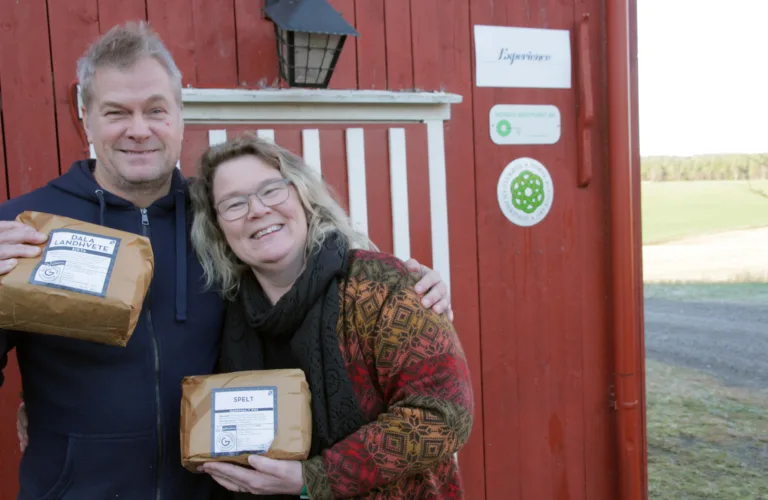 Hekta på brød og mjøl