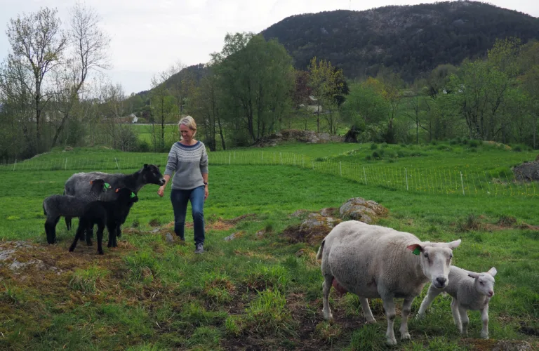 Øko 2020 - møteplass for økologisk produksjon