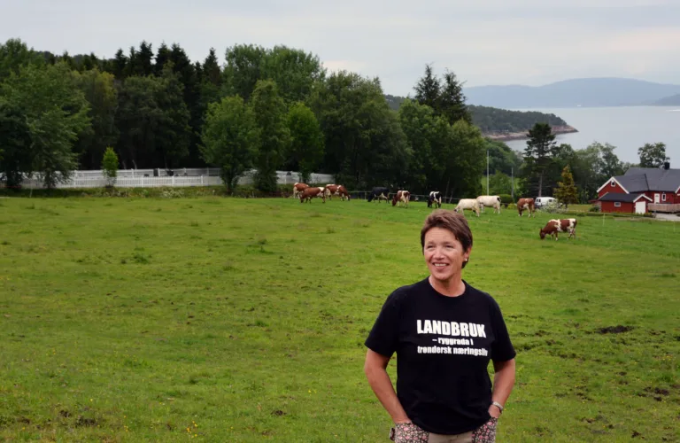 Resultater i toppklasse for trønderske økomjølkprodusenter