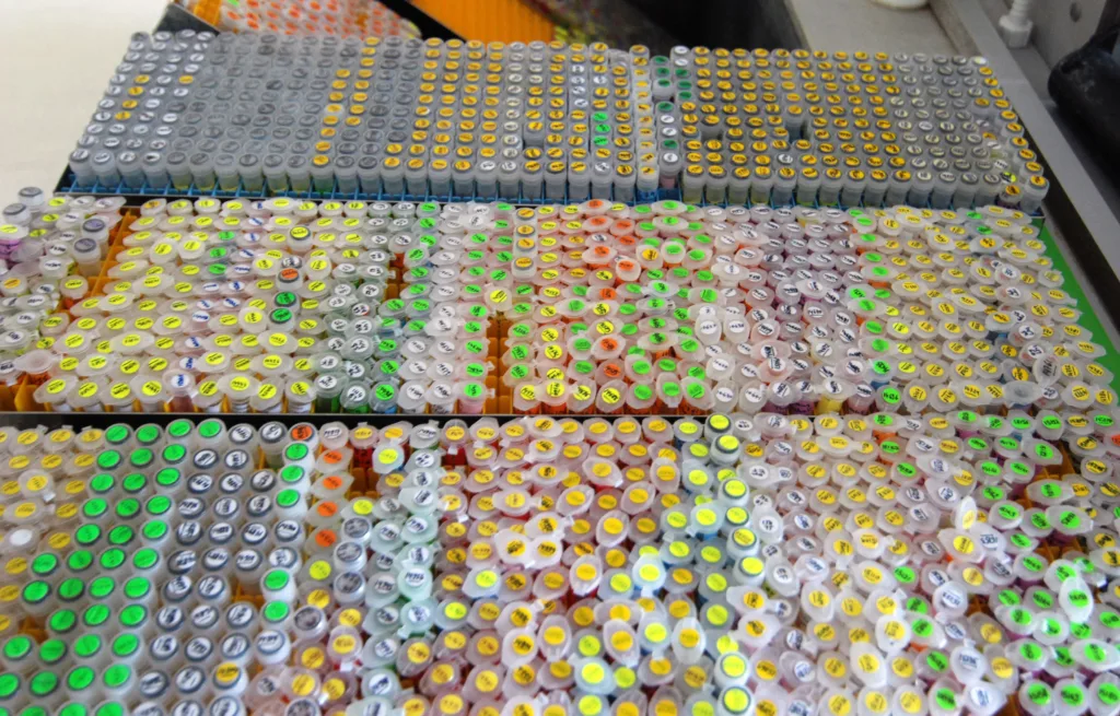 Generelt sett er det få ressurser til planteforedling