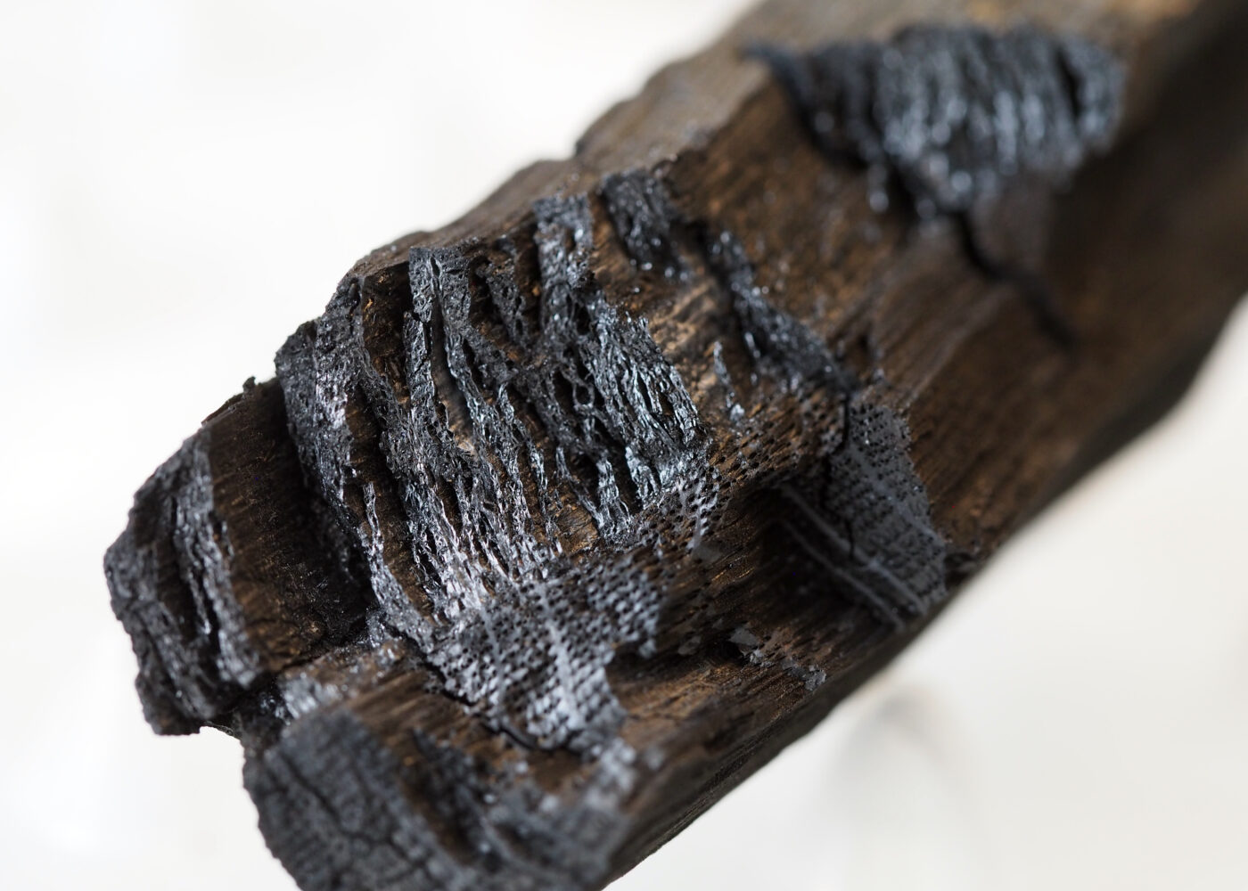 Biokull - status for forskning og utprøving i Norge