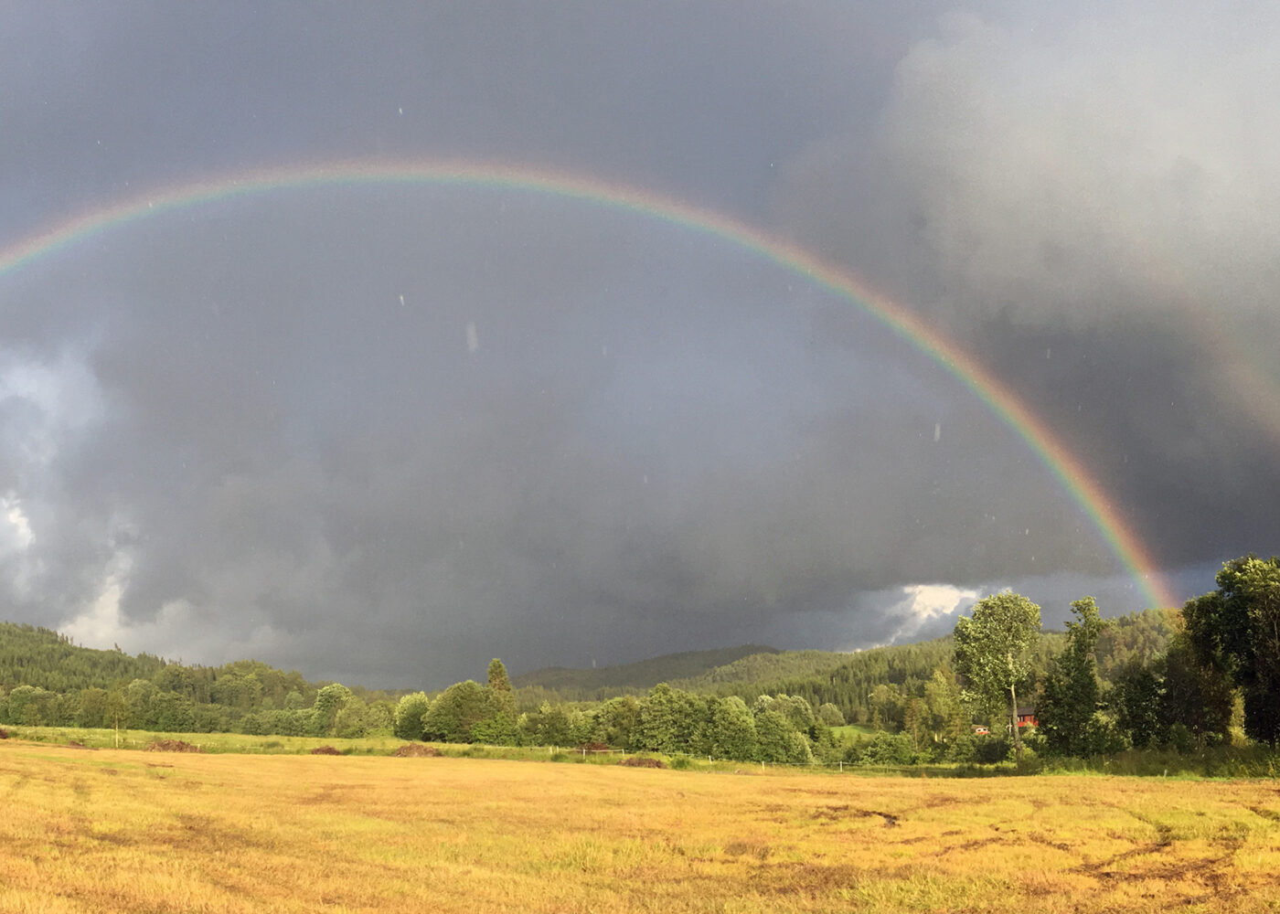 Dansk nettside for økologisk landbruk og klima