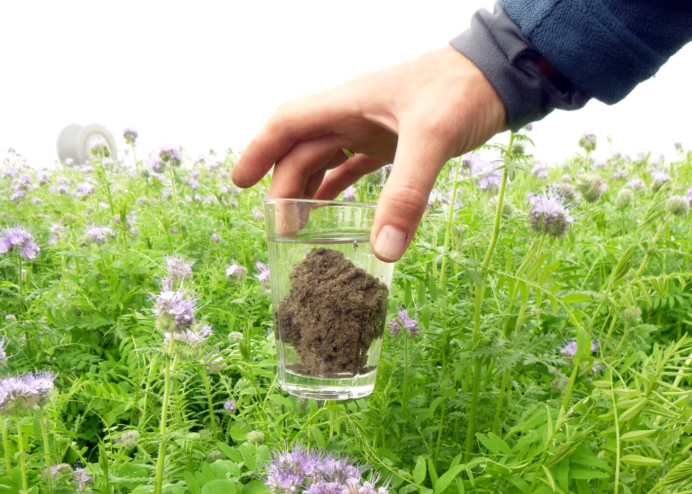 Biologisk jordstruktur