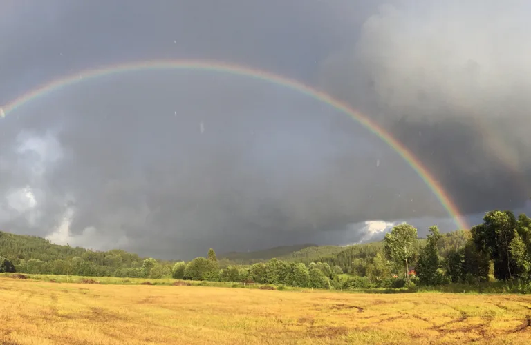 Dansk nettside for økologisk landbruk og klima