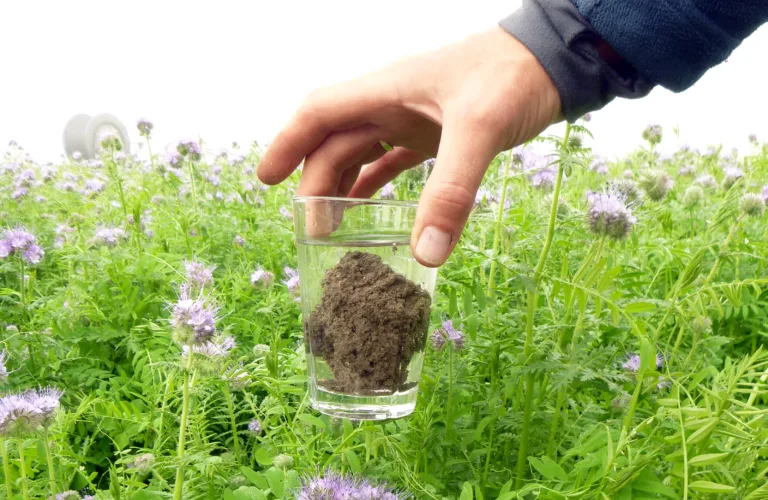 Biologisk jordstruktur