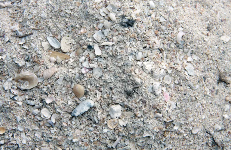 pH - kalk og kalking