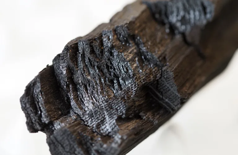 Biokull - status for forskning og utprøving i Norge