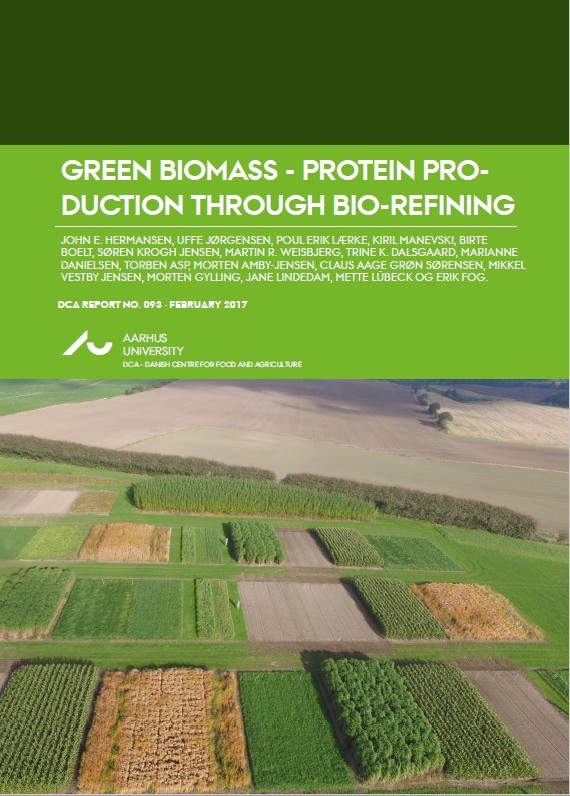 Rapport Green Biomass