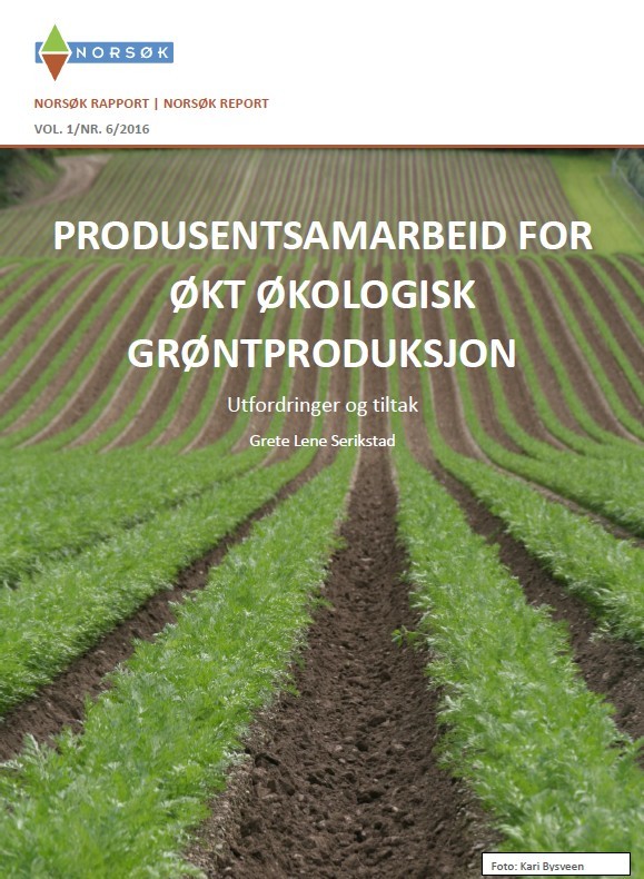 Rapport Produsentsamarbeid