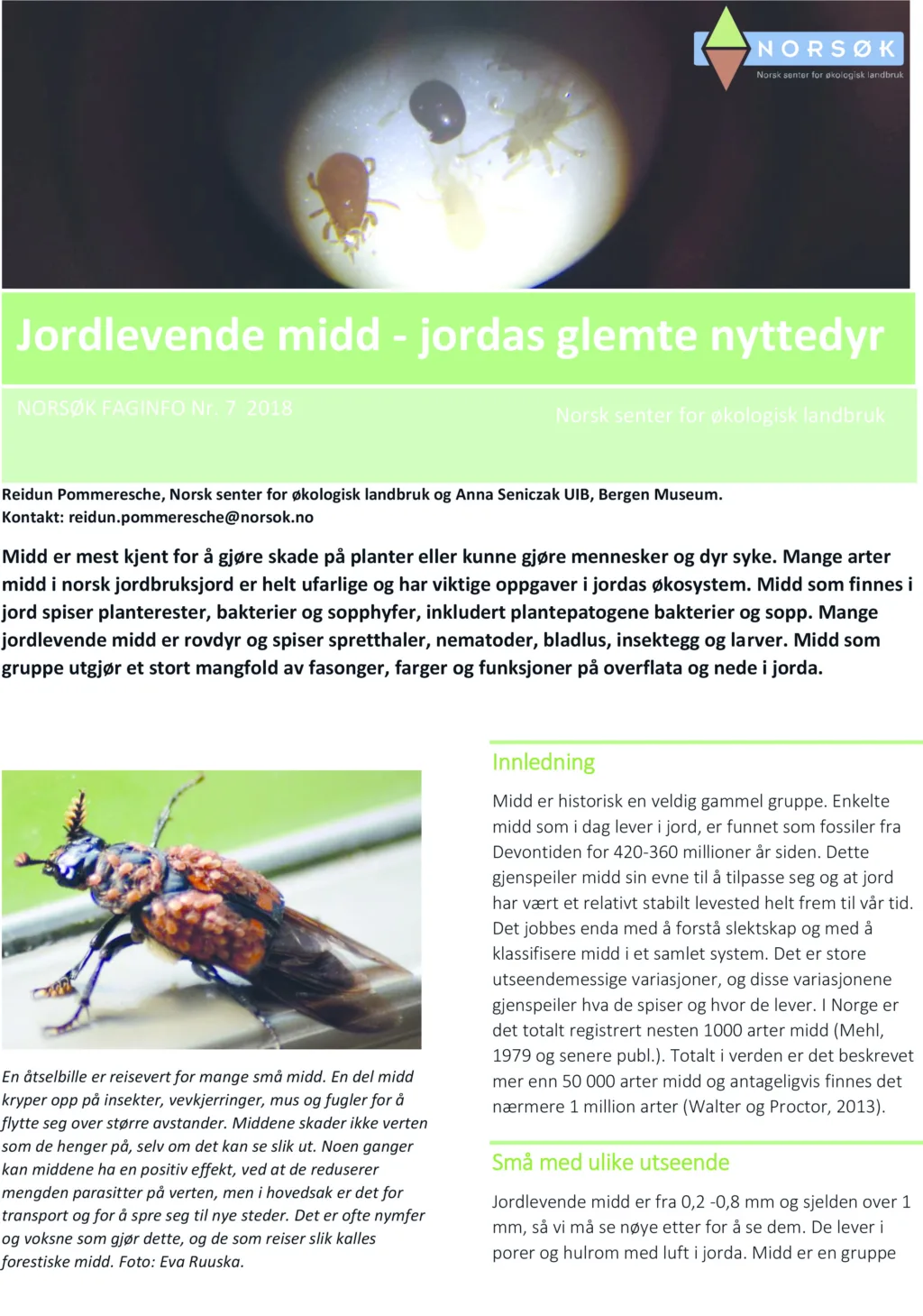 Teksten er henta fra NORSØK Faginfo om Jordlevende midd. Pdf kan lastes ned her.
