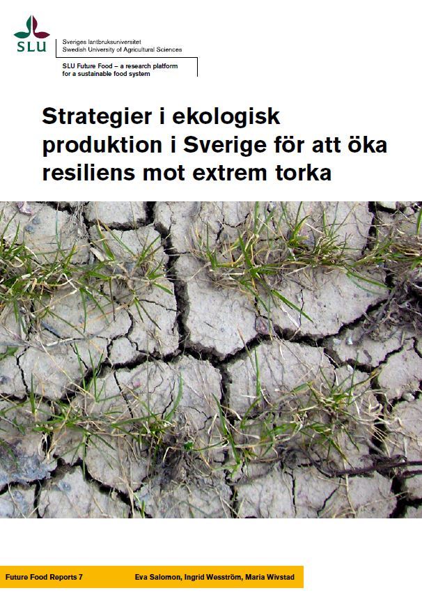 Økt Motstandskraft Mot Ekstremvær