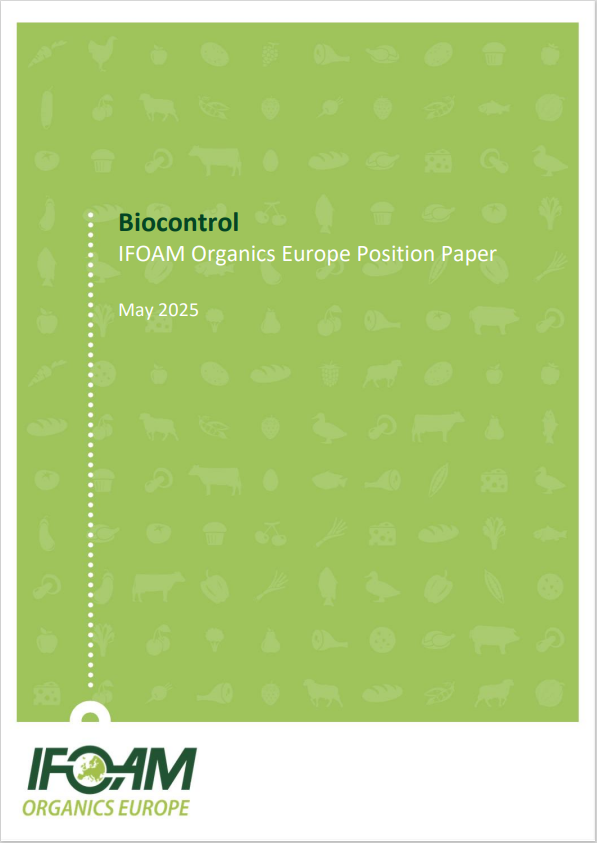 Skjermbilde 2025 08 06 123359