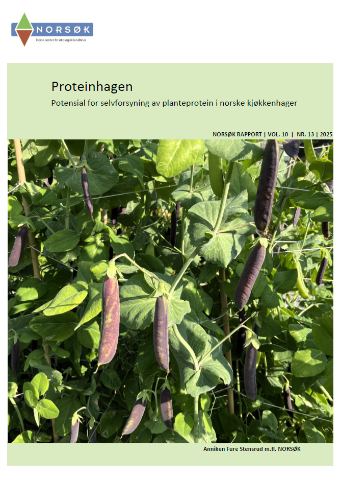 Skjermbilde 2026 01 21 140733