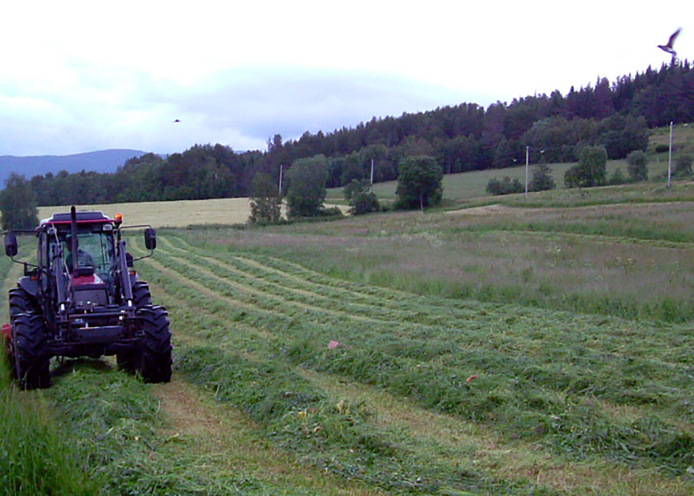 Karbondynamikk i landbruksjord