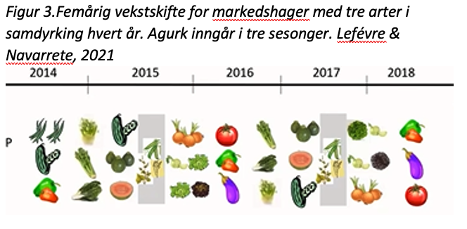 Vekstskifte Markedshager