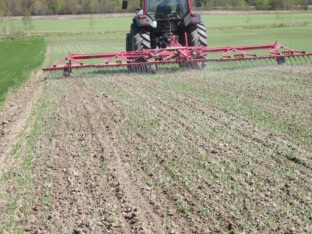 Andre gangs ugrasharving på 3-4 blad stadiet. Det er viktig at harva flyter jevnt på jordet og arbeider like dypt over det hele. På denne harva er det 5 felt, som vandrer uavhengig av hverandre.