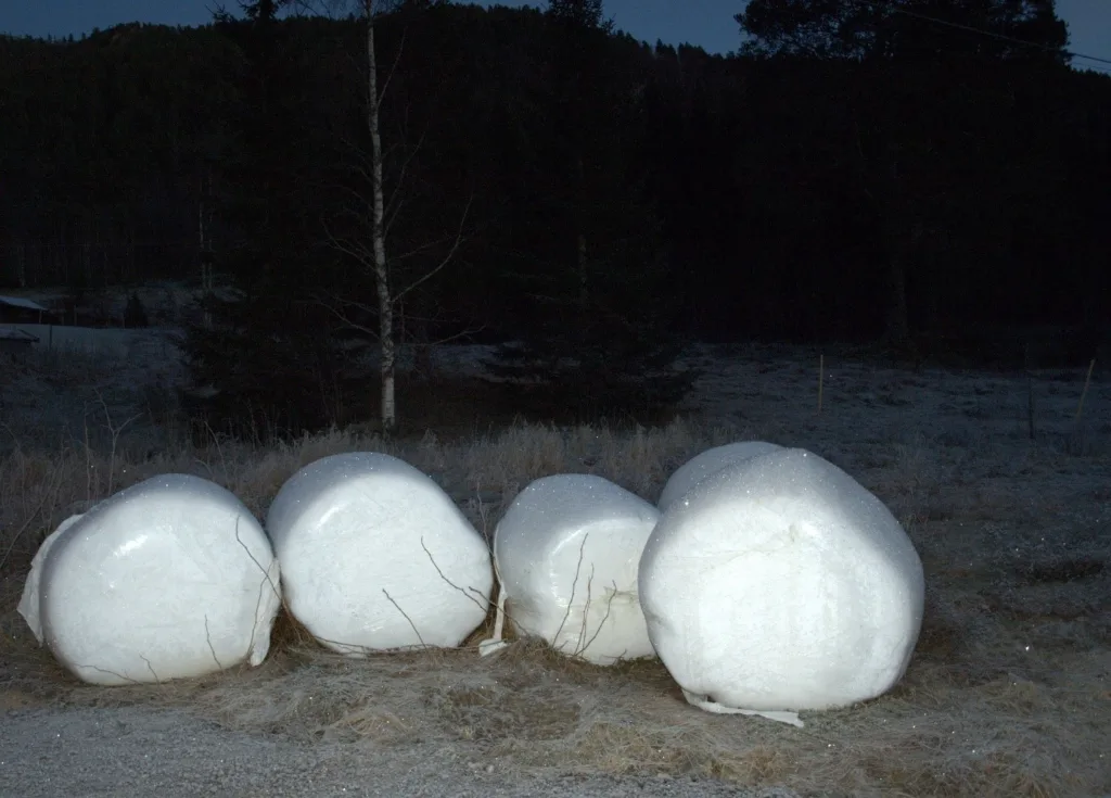 Plast til rundballer utgjør en stor del av plastforbruket i landbruket og samles inn via Grønt punkt. Foto: Susanne Friis Pedersen