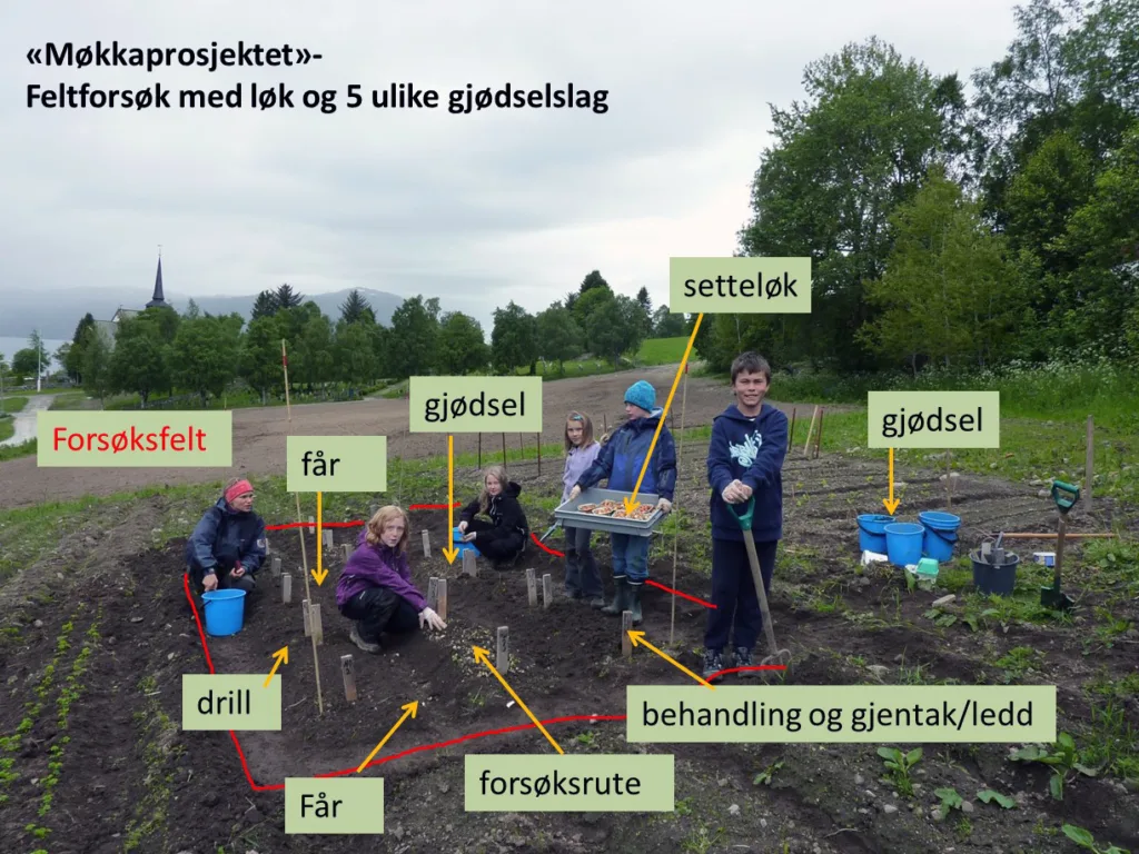 Mange nye begreper og ord for unge forskerspirer Mange nye begreper og ord for unge forskerspirer