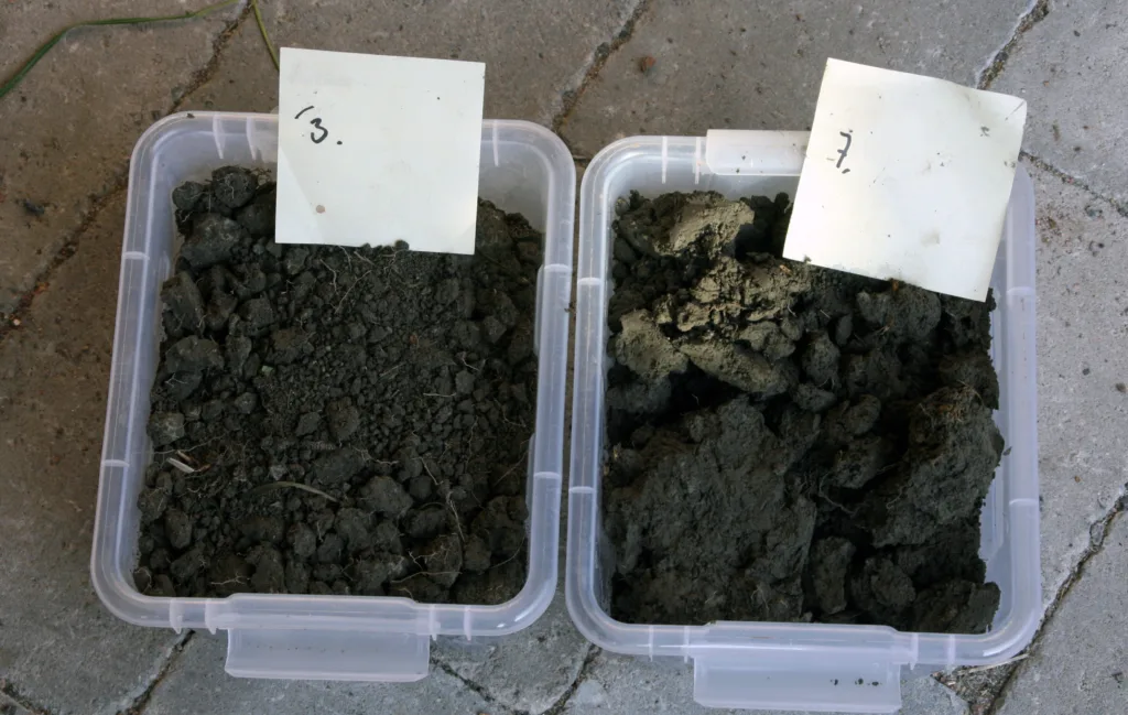 Det er et faktum at eng har meget positiv effekt på jordkvaliteten. Boksen til høyre er fra jord hvor det har vært korn flere år på rad. Boksen til venstre -  er fra ruta hvor det er 2.års eng. Fra et demonstrasjonsfelt med jordløsning og ulike vekster.