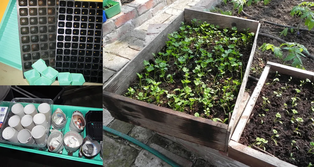 Potter og brett til oppal av småplanter. Vi kan gjenbruke bokser og beger, kjøpe utstyr spesielt til formålet eller lage selv.