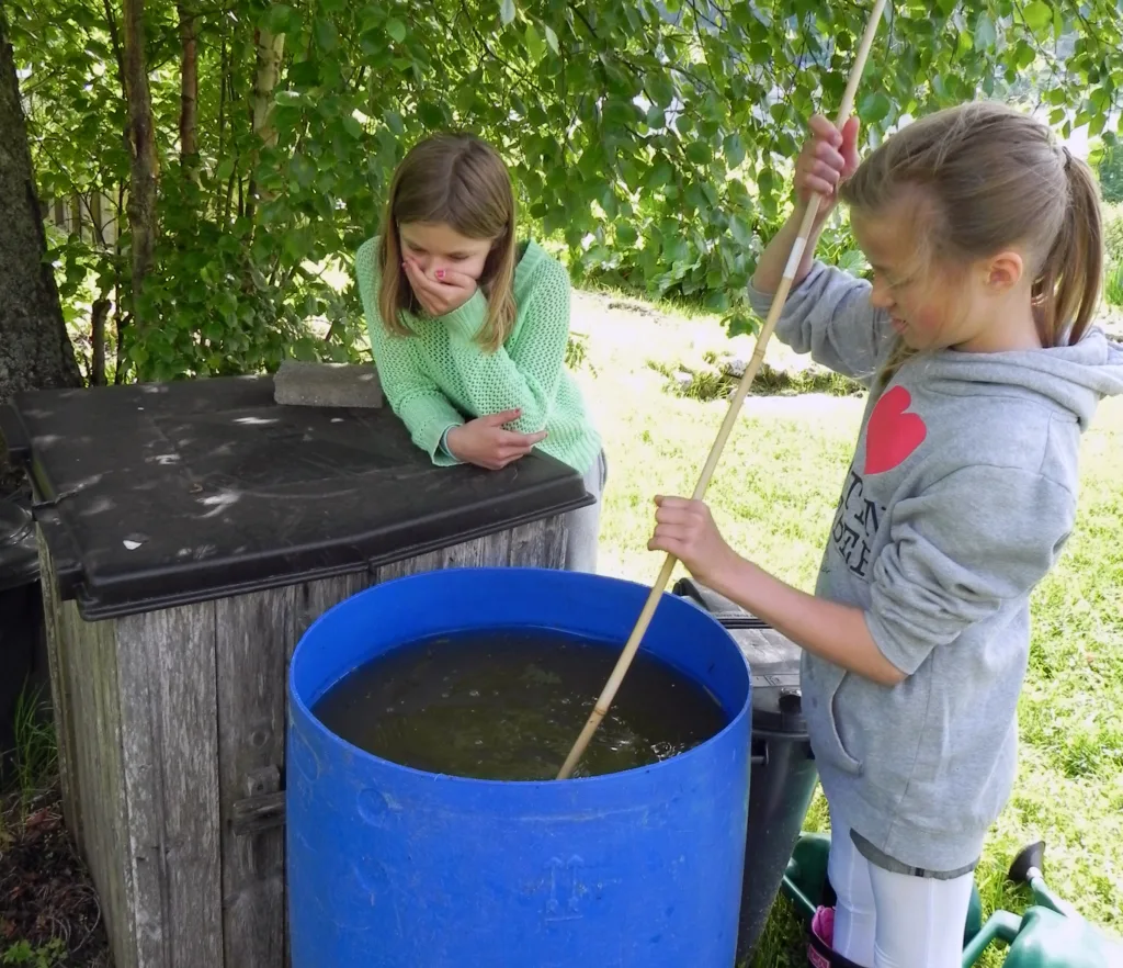 Omrøring i gjødselvann laget av brennesle og valurt. "Huff - det lukter vondt!"