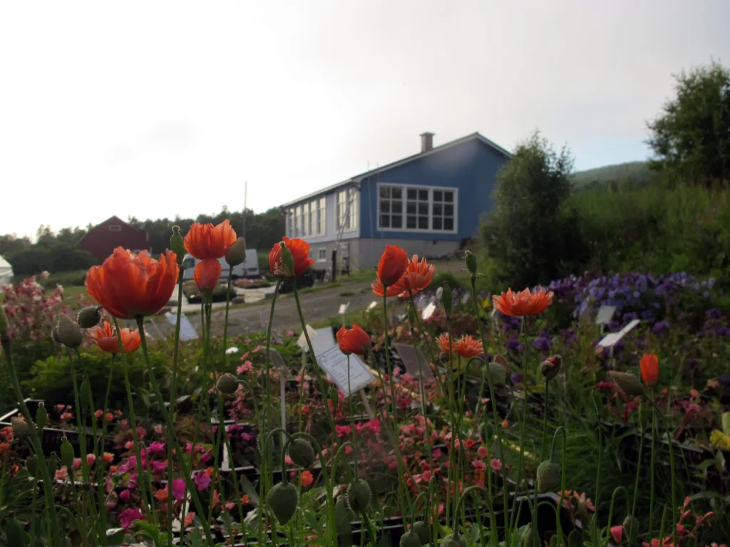 Det gamle fjøset er bygd om til vekstrom og lager