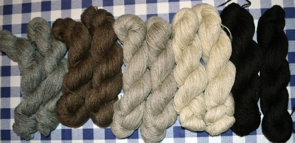 Garn fra sauene til Arnar Lyche sortert i fem farger og leiespunnet ved Selbu Spinneri AS.