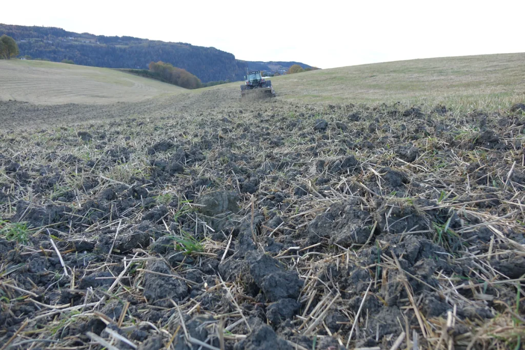 Røtter og halmrester blir liggende på bakken og tørker ut