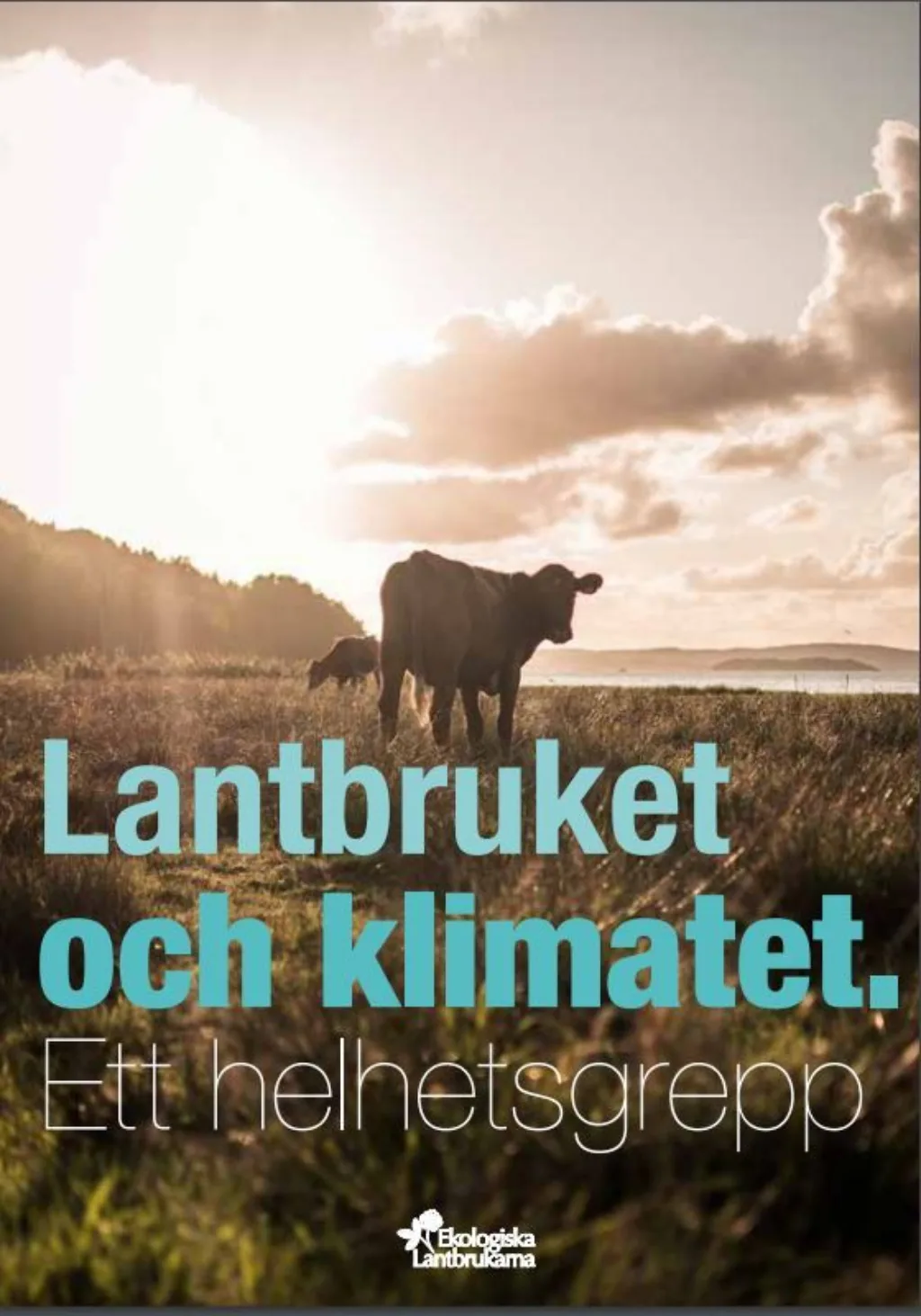 Klikk på bildet og les rapporten