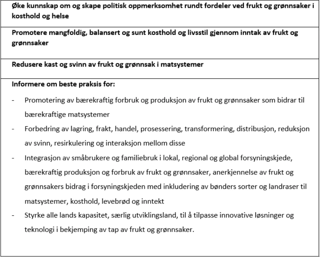 MÅLSETNINGER: Oversikt over målsetningene FAO skal jobbe for i 2021