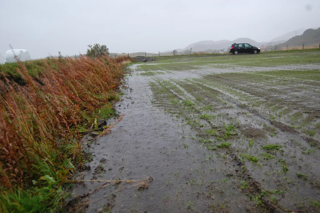 Her er ikke dreneringen god nok, det mangler fall mot kanalen. Dette gir dårlige forhold for kulturplantene. Det er nok heller ikke gode forhold for ville vekster, men hvis kulturplantene blir forsinket i utviklinga pga. vassmettet jord, vil det gi ugraset større sjanse til å vinne kampen om plassen. Bildet er tatt under kraftig regnvær. Foto: Are Johansen