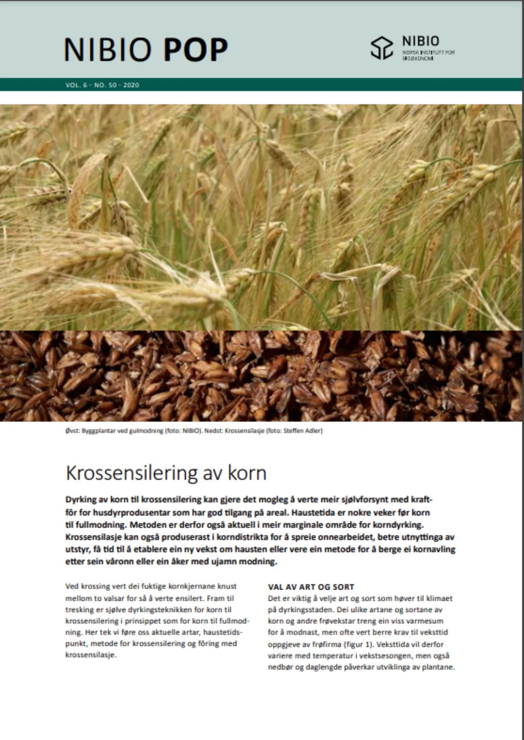 Trykk på bildet og les hele publikasjonen