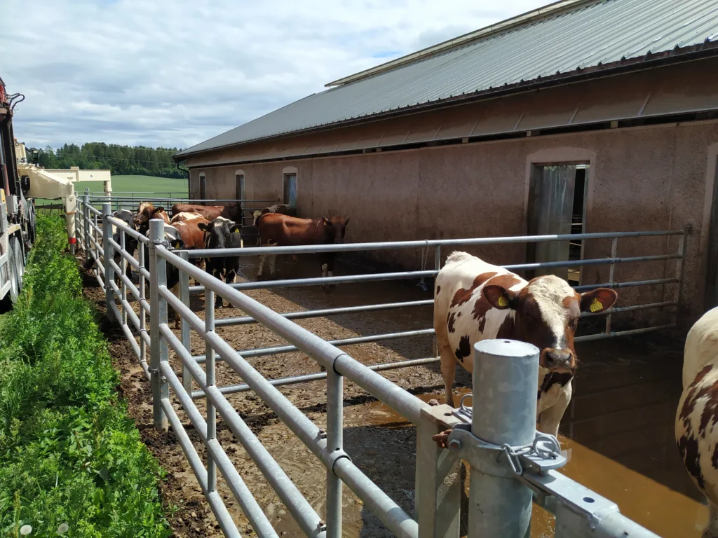 LUFTEGÅRD: Eksempel på hvordan kravet om luftegård kan løses på en relativt rimelig måte.