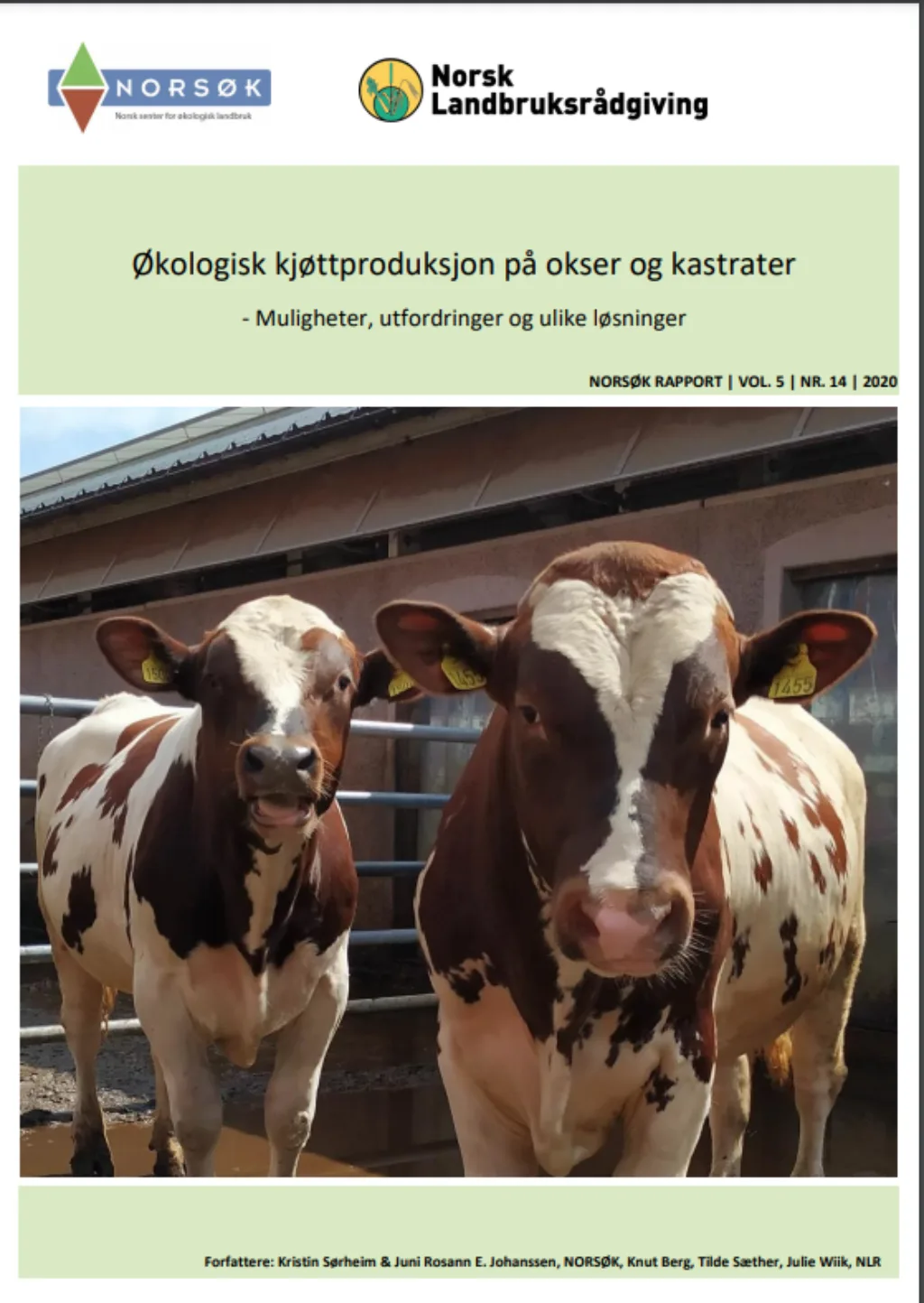 HELE RAPPORTEN: Trykk på bildet og les hele rapporten