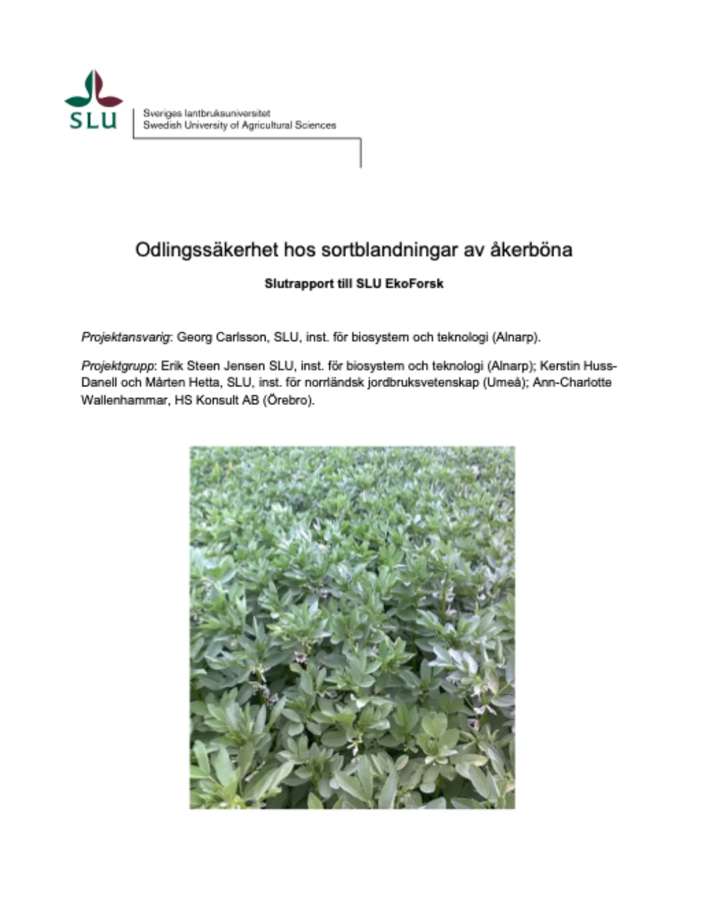 HELE RAPPORTEN: Trykk på bildet og les hele rapporten.