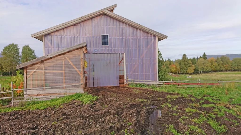 Drivhusfjøs kan være aktuelt for økologisk veksthusproduksjon. Foto: Susanne Friis Pedersen
