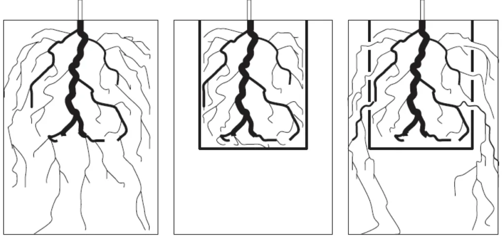 Rotutvikling i åpent, begrenset og kombinert system av bed. Etter Thybo m.fl. 2005