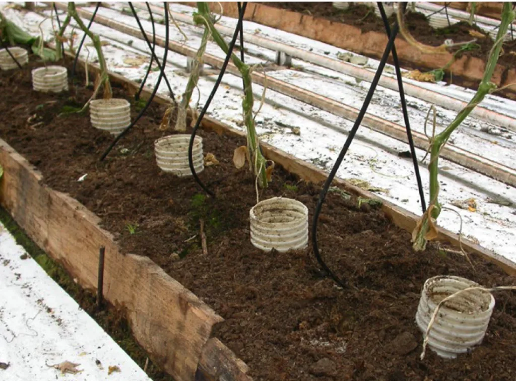 Vertikale drensrør kan være et praktisk tiltak for å innarbeide fast gjødsel uten ammoniakkutslipp. Etter Ögren, 2019, foto: Johan Ascard