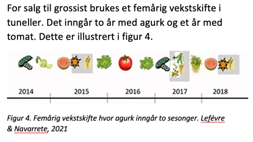 Femårig vekstskifte hvor agurk inngår i to av sesongene. Lefévre & Navarrete, 2021