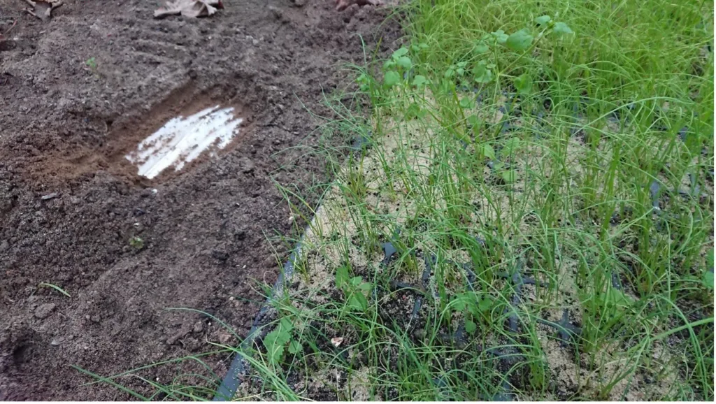 Oppalet foregår i pluggbrett på bord med varmematte under. Foto: Susanne Friis Pedersen