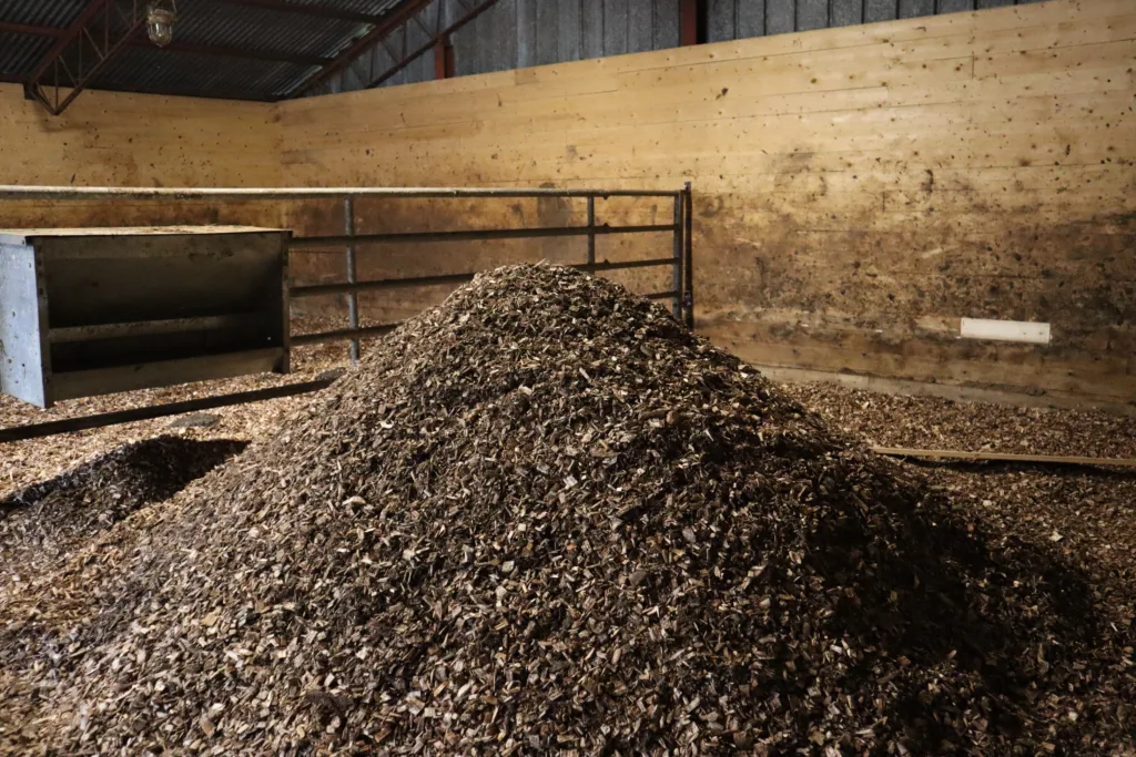 Dyrevelferd: Dyra tilbys liggeunderlag av treflis.