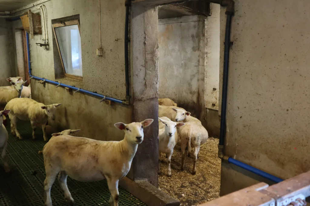 På vei inn i den nye liggeavdelinga.