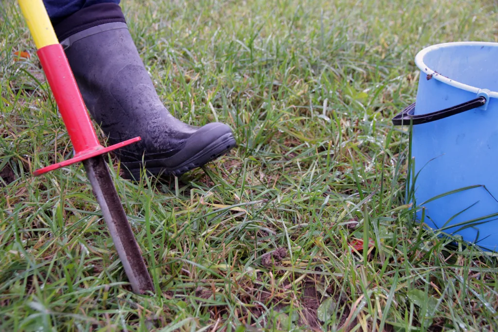 Norsk institutt for bioøkonomi (NIBIO) har ansvar for et program for landsdekkende overvåking av jordkarbon i skog og beitemark.